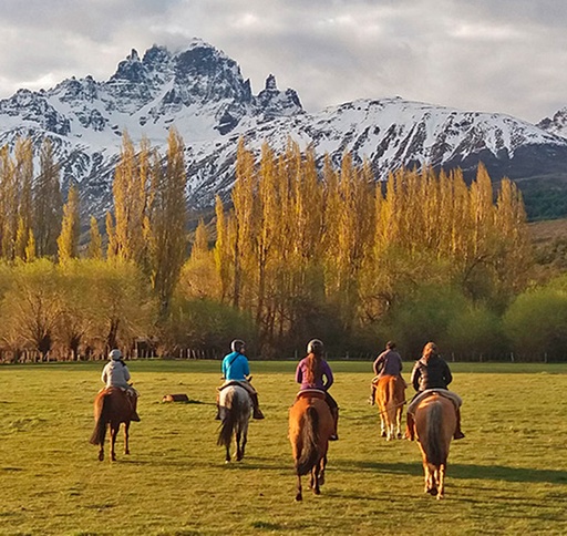 Cabalgata Pingo Salvaje 1 Hora